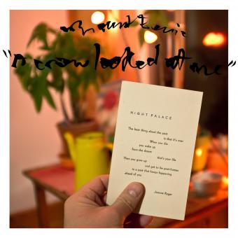 Mount Eerie: A Crow Looked at Me